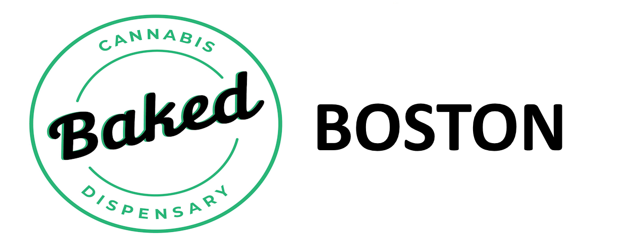 Baked Boston 